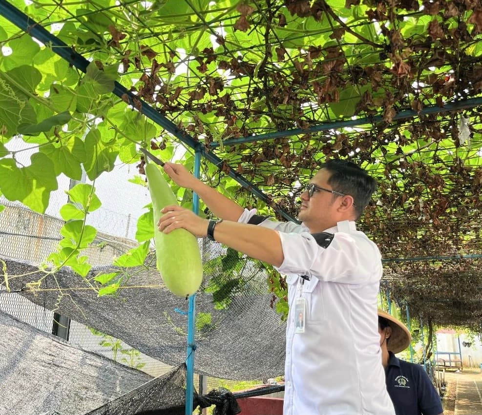 Panen-Raya-di-Balik-Jeruji,-Warga-Binaan-Lapas-Narkotika-Jakarta-Hasilkan-Puluhan-Kilogram-Sayuran