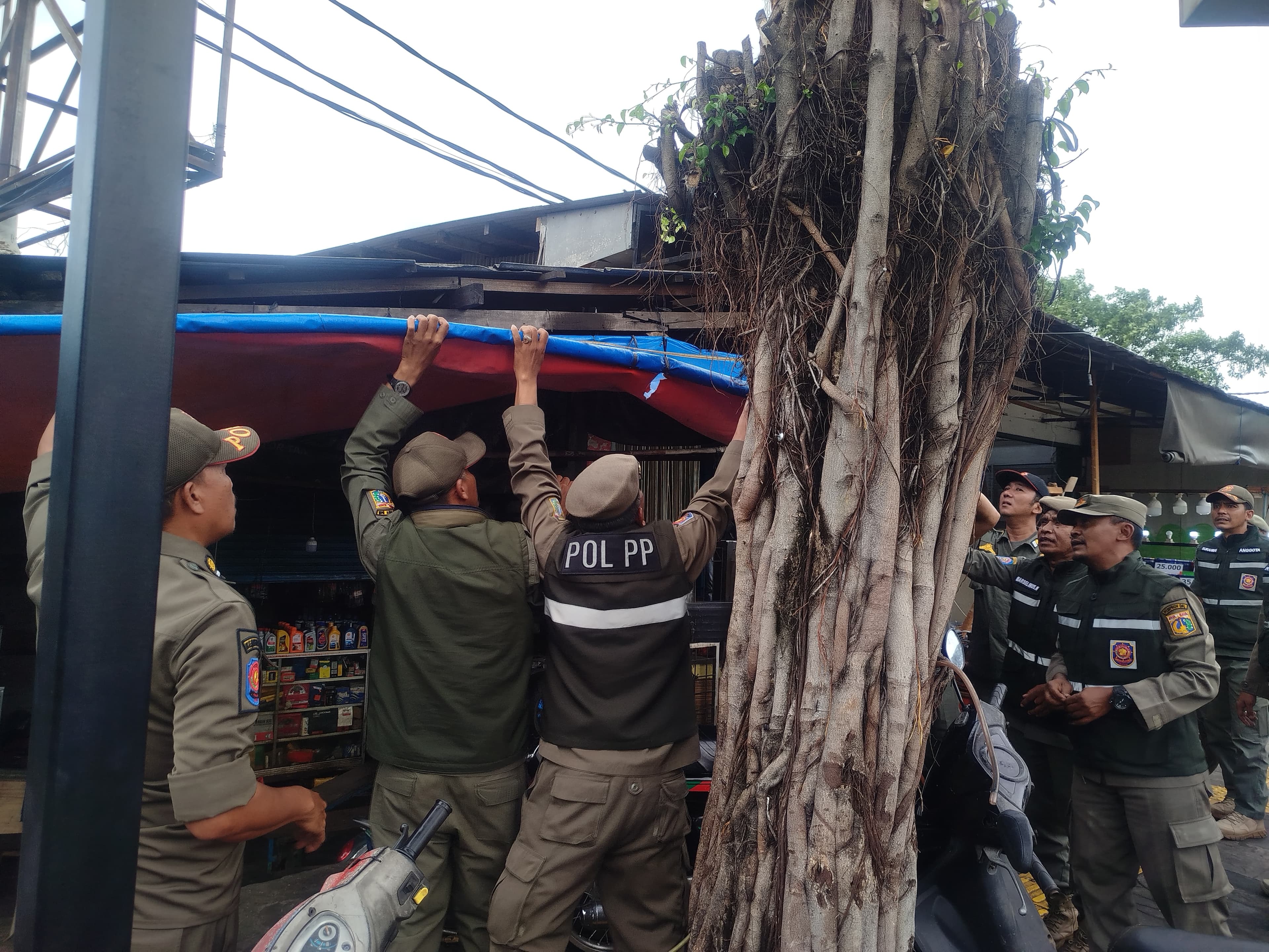 Penertiban PKL di Jalan Raya Bogor, 50 Pedagang Dihalau hingga Sempat Picu Ketegangan.jpg