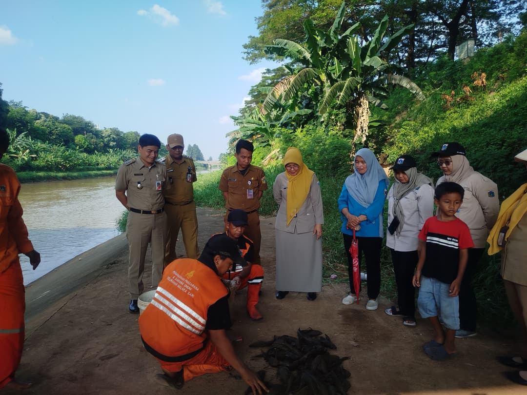 Penangkapan-Ikan-Sapu-Sapu-di-Jakarta-Timur-Tembus-Ratusan-Ekor,-Akan-Dikubur-Massal