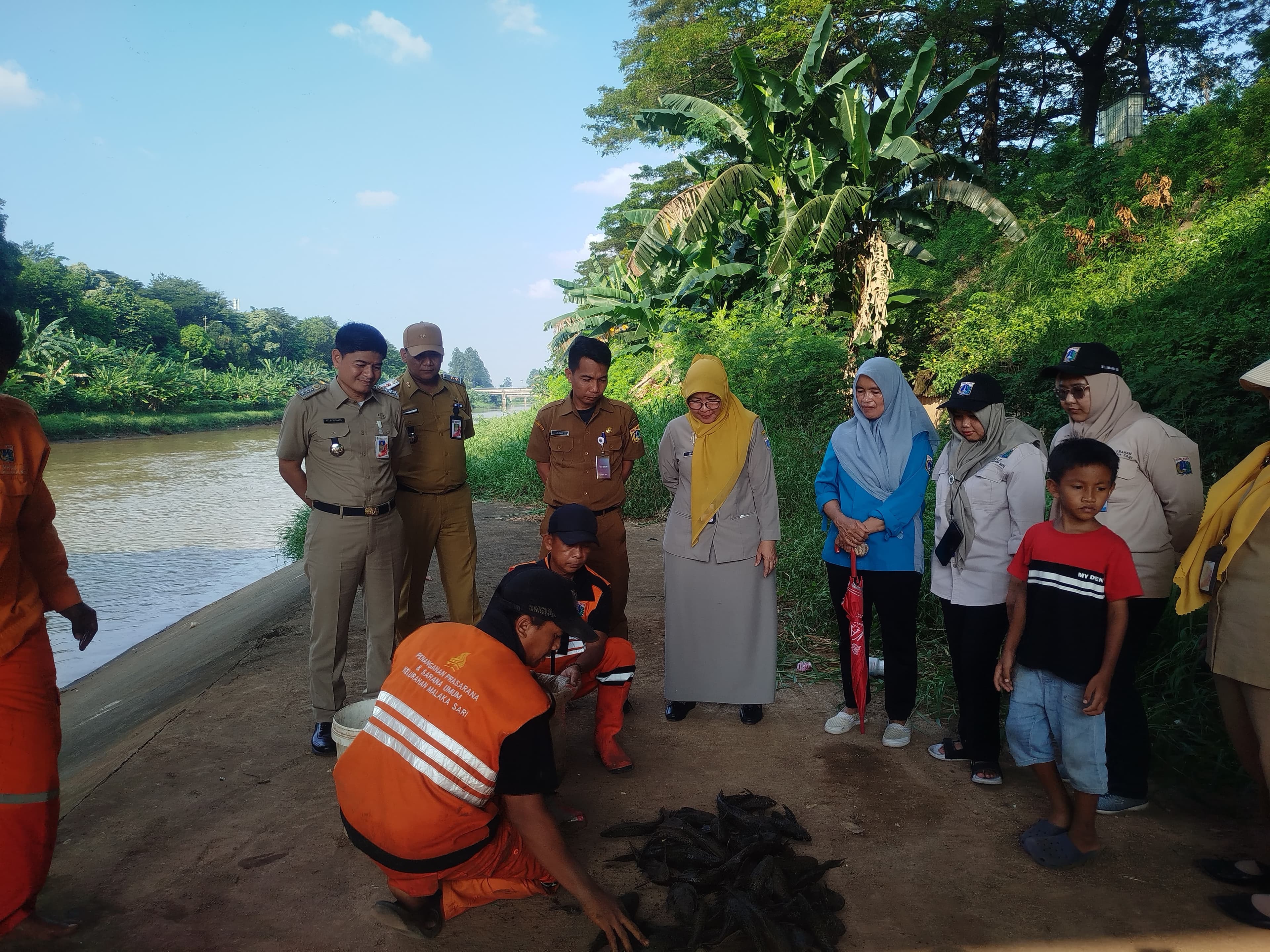 Penangkapan Ikan Sapu-Sapu di Jakarta Timur Tembus Ratusan Ekor, Akan Dikubur Massal.jpg