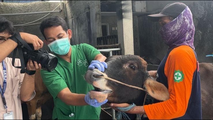 Pemeriksaan Hewan Kurban di Jaktim, Ribuan Sapi dan Kambing Dipastikan Sehat.jpg