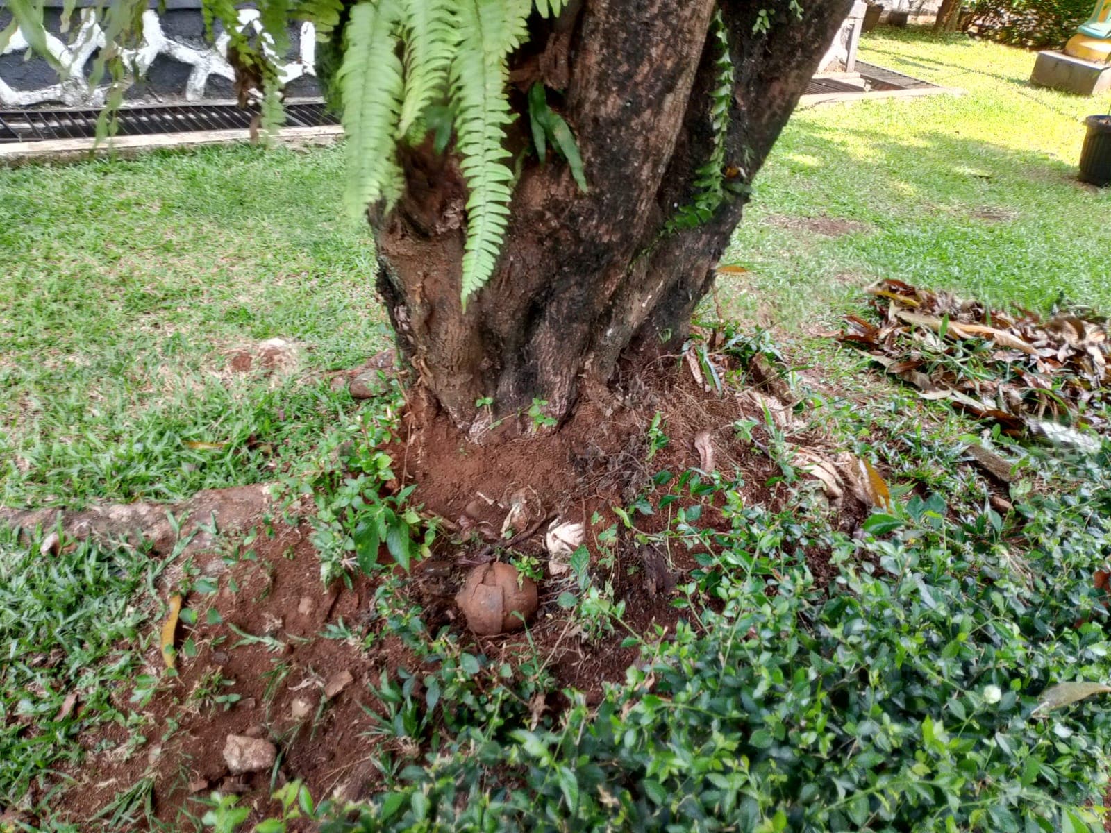 Tim Gegana Evakuasi Mortir yang Ditemukan di Area TMII Jaktim.jpg