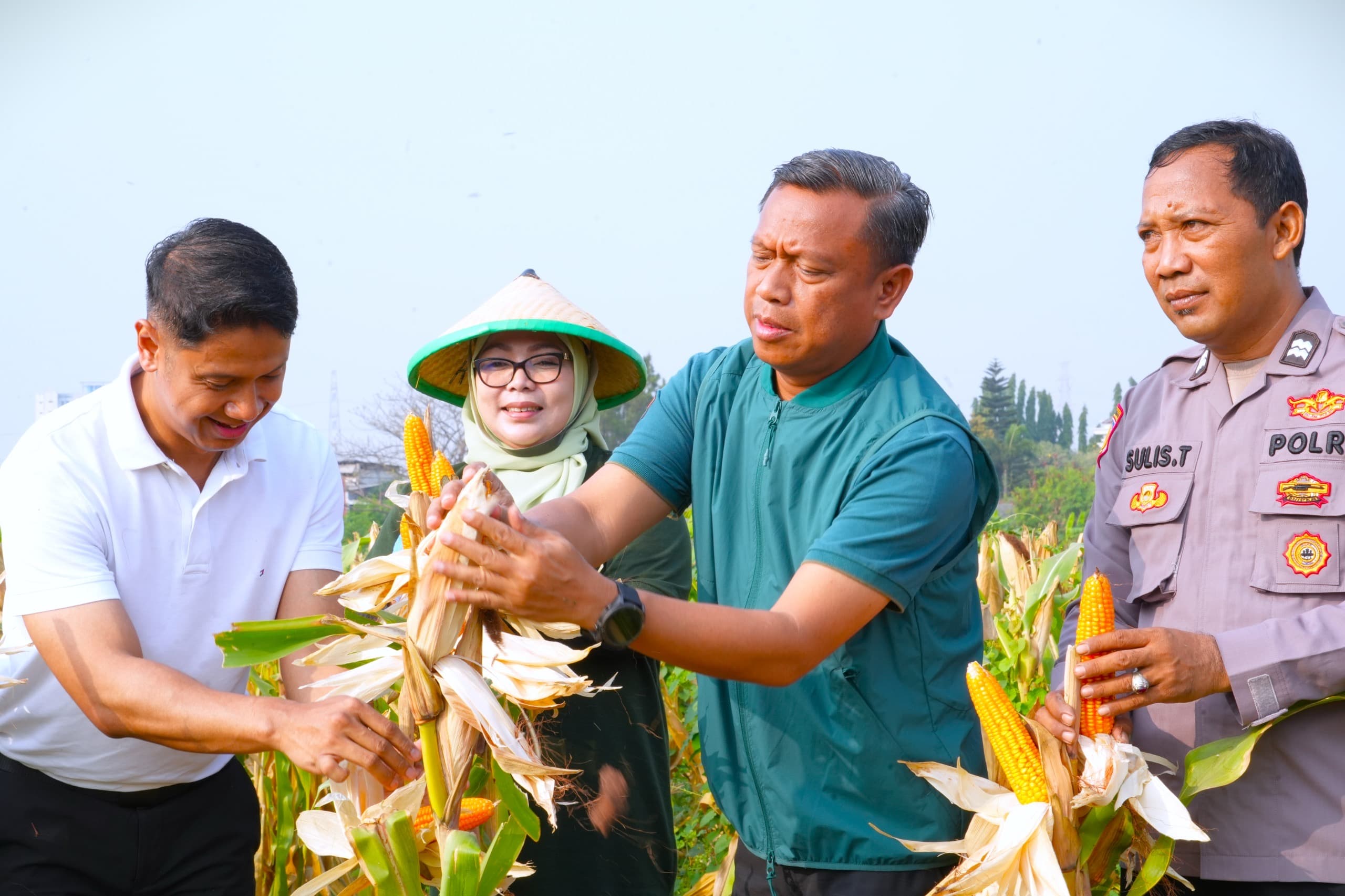 Lahan 2,5 Hektare di Cakung Hasilkan 10 Ton Gabah, Wali Kota Dorong Pemanfaatan Lahan Tidur.jpg